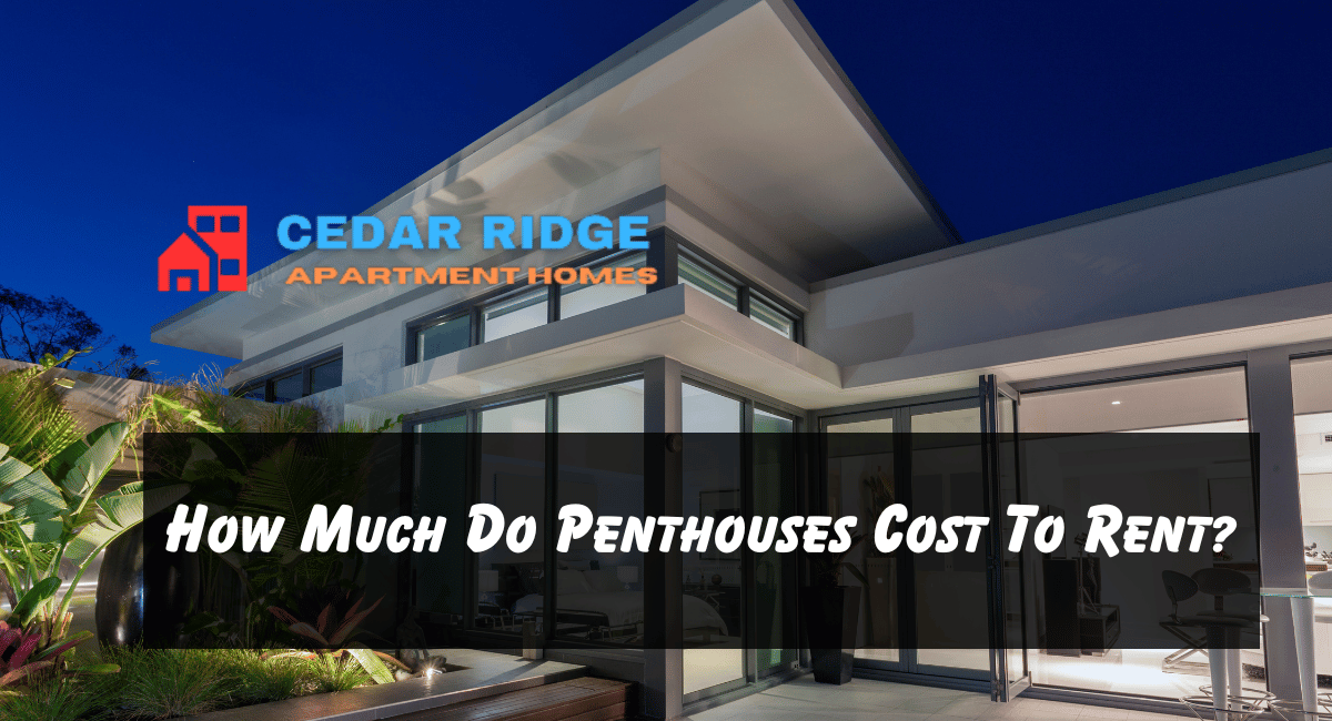 How Much Do Penthouses Cost To Rent