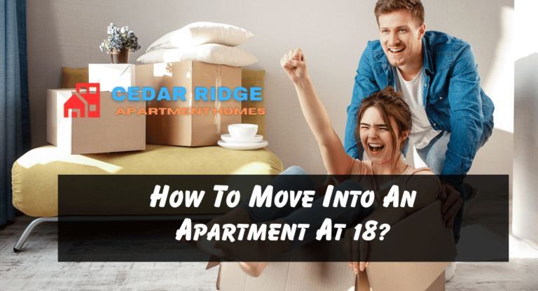 How To Move Into An Apartment At 18