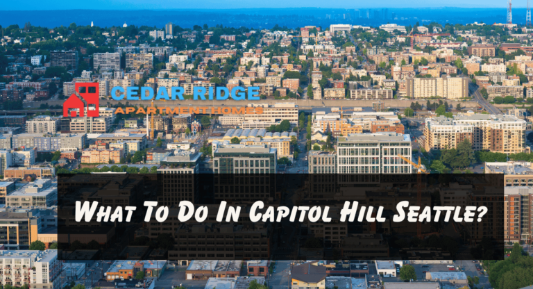What To Do In Capitol Hill Seattle