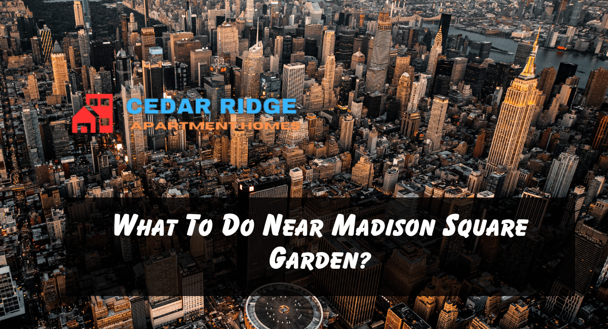 What To Do Near Madison Square Garden