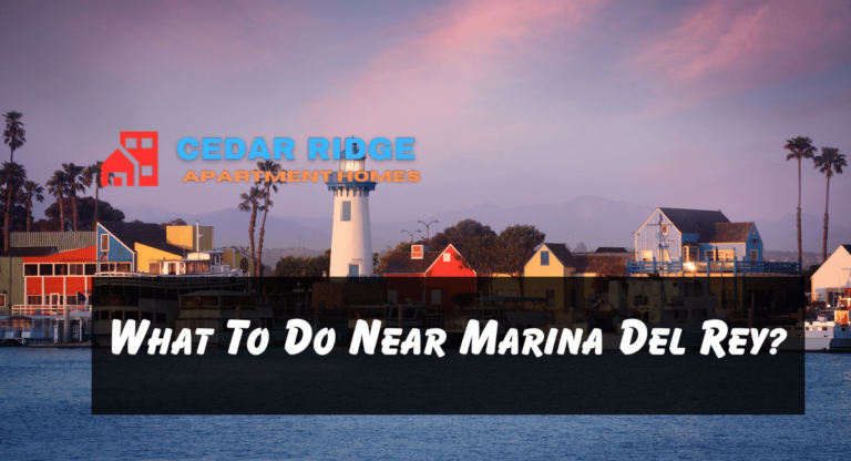 What To Do Near Marina Del Rey